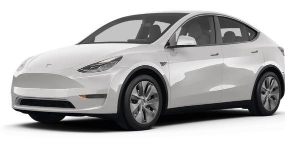 TESLA MODEL Y 2024 7SAYGDEE6RF199938 image